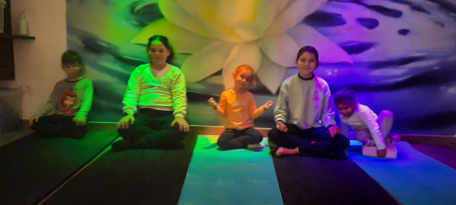 Hatha Yoga con Mindfulness en Sotogrande, Alcaidesa, La Línea, San Roque y Gibraltar